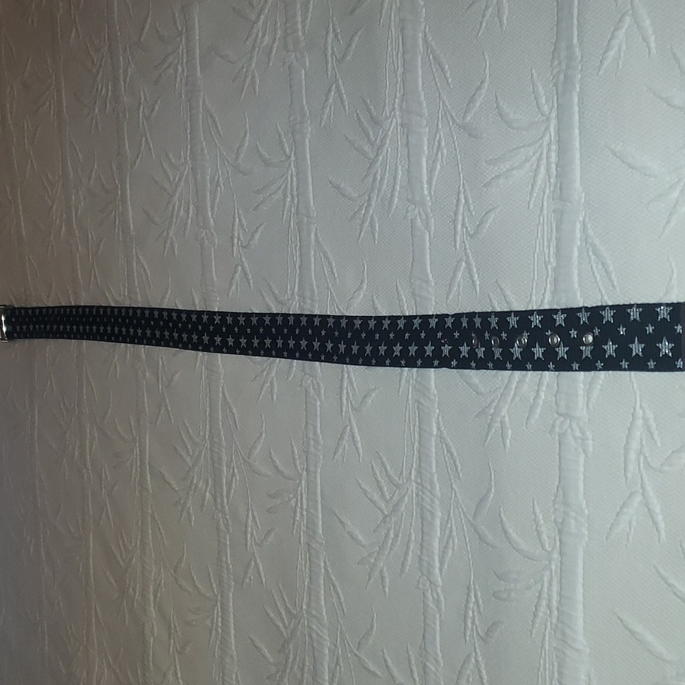 Belt - Picture 3 of 7